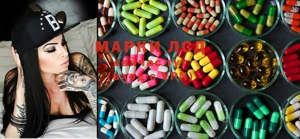 индика Кодинск